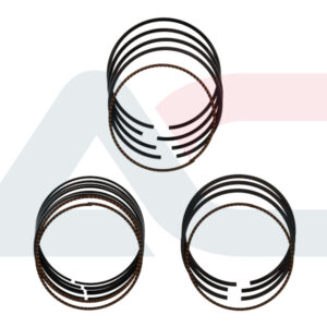 MOTUS - TP31049/0-0 - Piston Ring Kit